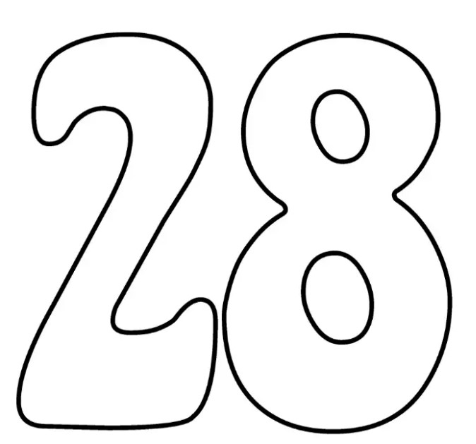 CANAL 28