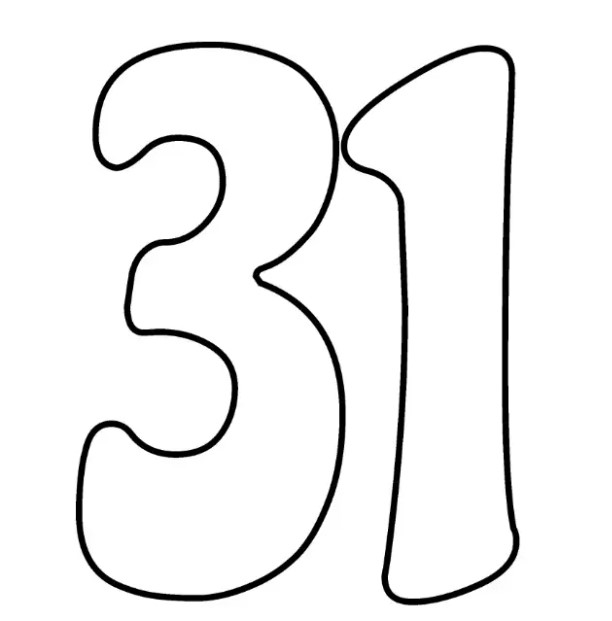 CANAL 31